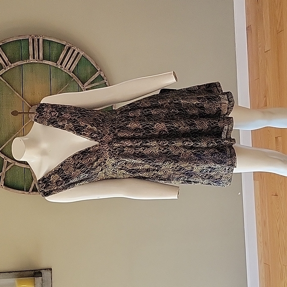 Lulu's Tawny lace skater dress - Picture 1 of 13